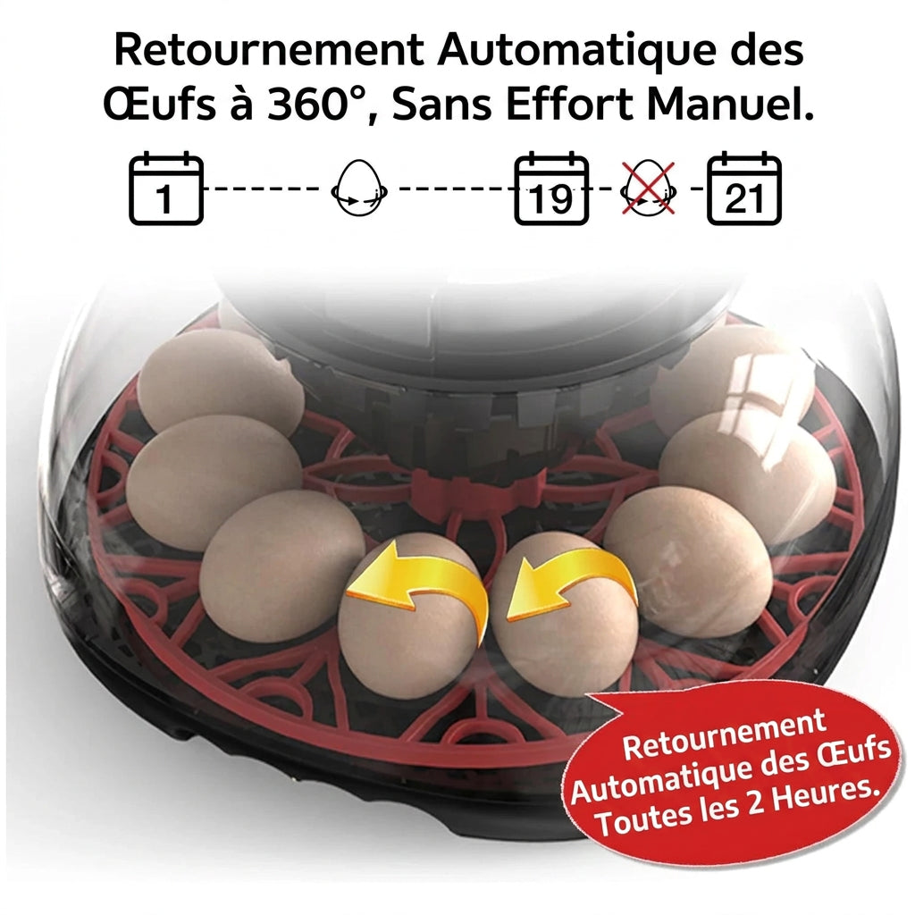Couveuse Automatique 12 Œufs – Affichage Numérique