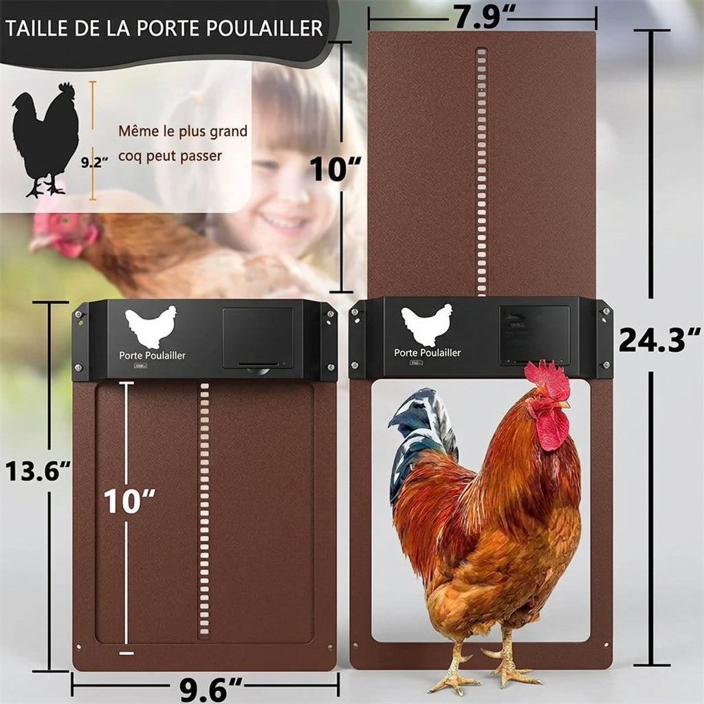 Porte automatique pour poulailler avec capteur de lumière