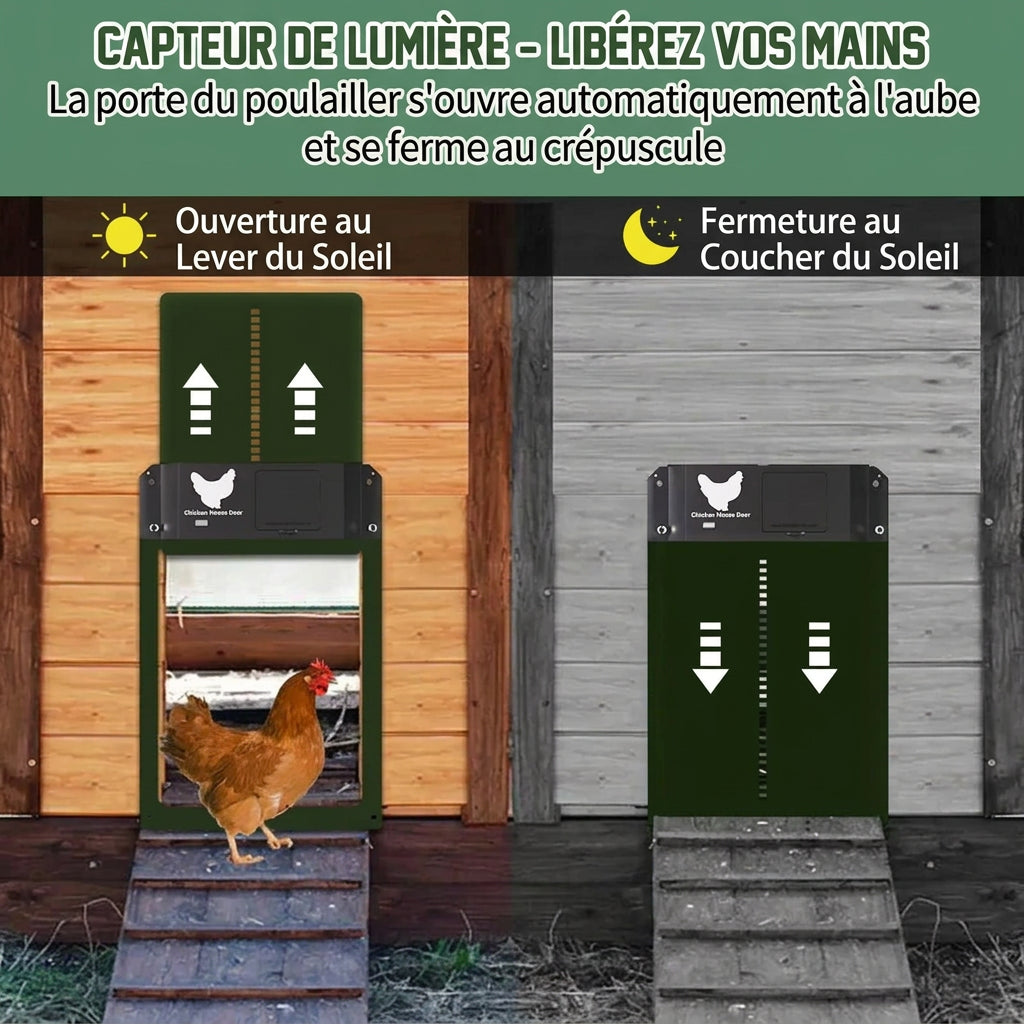 Porte automatique pour poulailler avec capteur de lumière