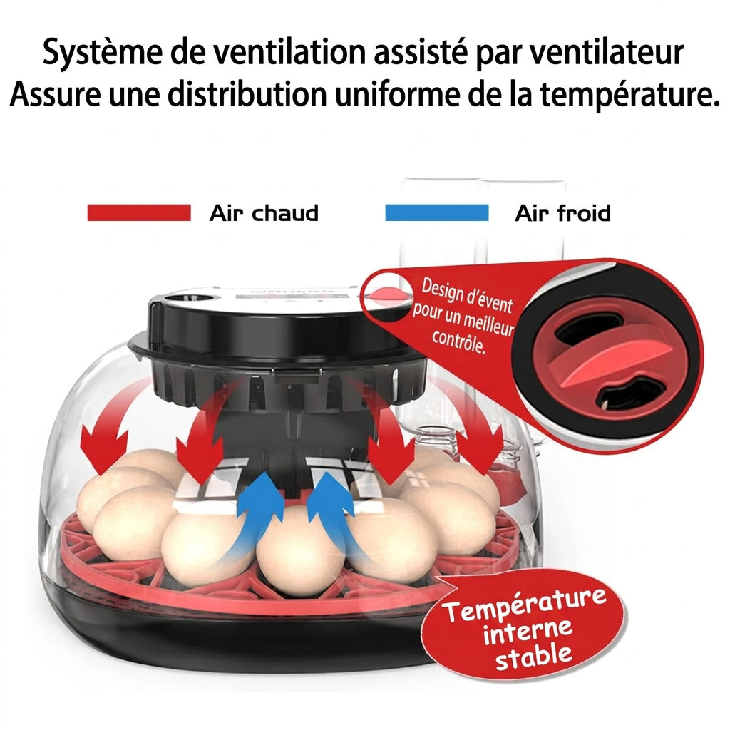 Couveuse Automatique 12 Œufs – Affichage Numérique