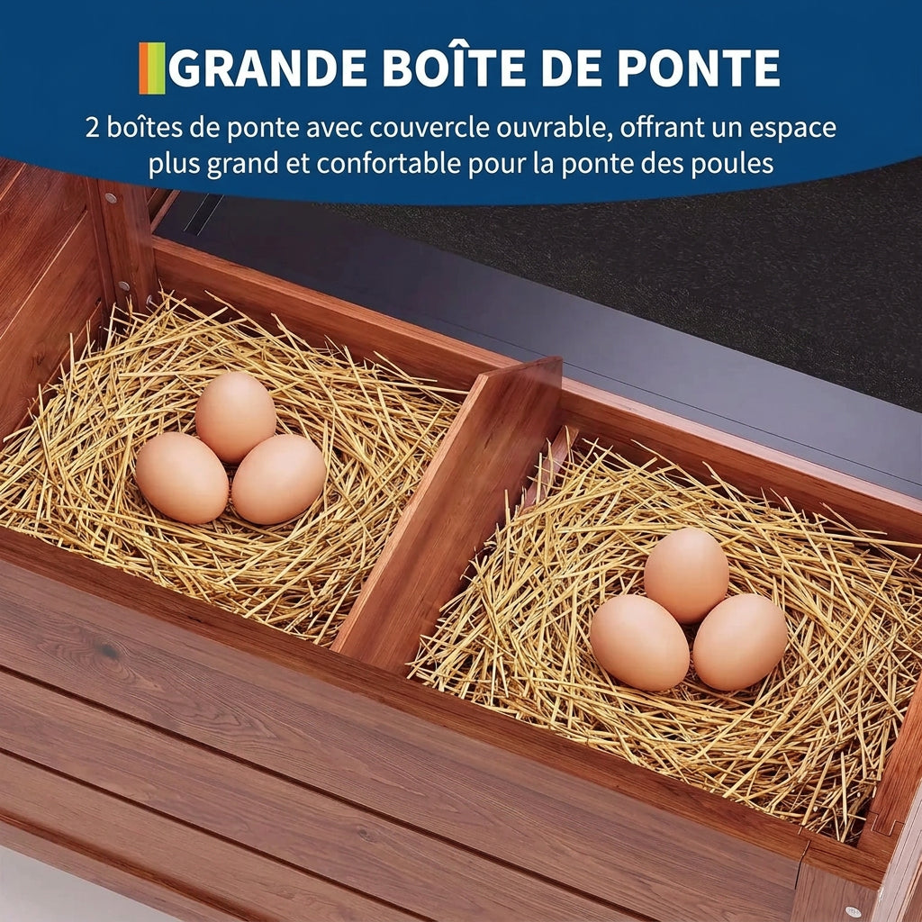 Poulailler en Bois avec Rampe et Toit Asphalté – 80 pouces
