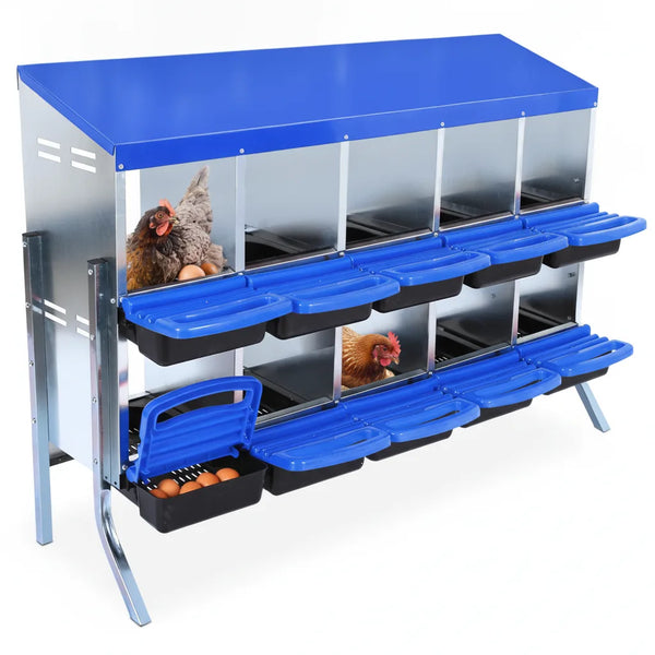 Pondoir pour Poules 10 Compartiments avec Collecte des Œufs