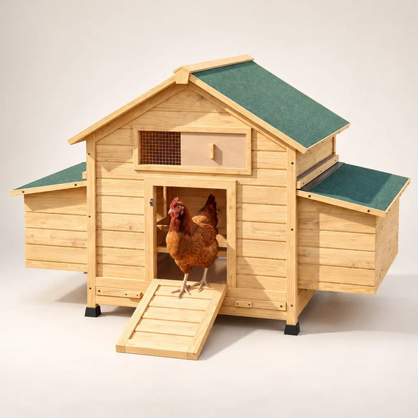 Poulailler en Bois avec 2 Nichoirs – 150 cm