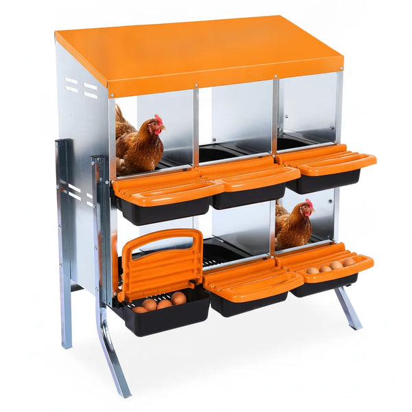 Pondoir pour Poules 6 Compartiments en Acier Galvanisé