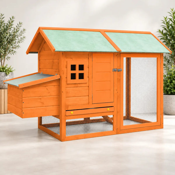 Poulailler en Pin et Sapin – 170 cm