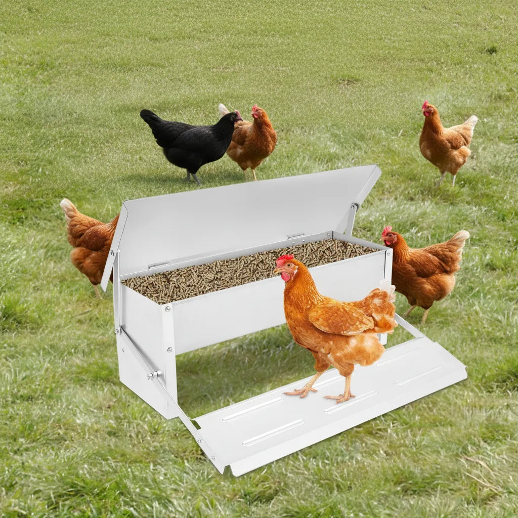 Mangeoire Automatique pour Poules – 5 kg