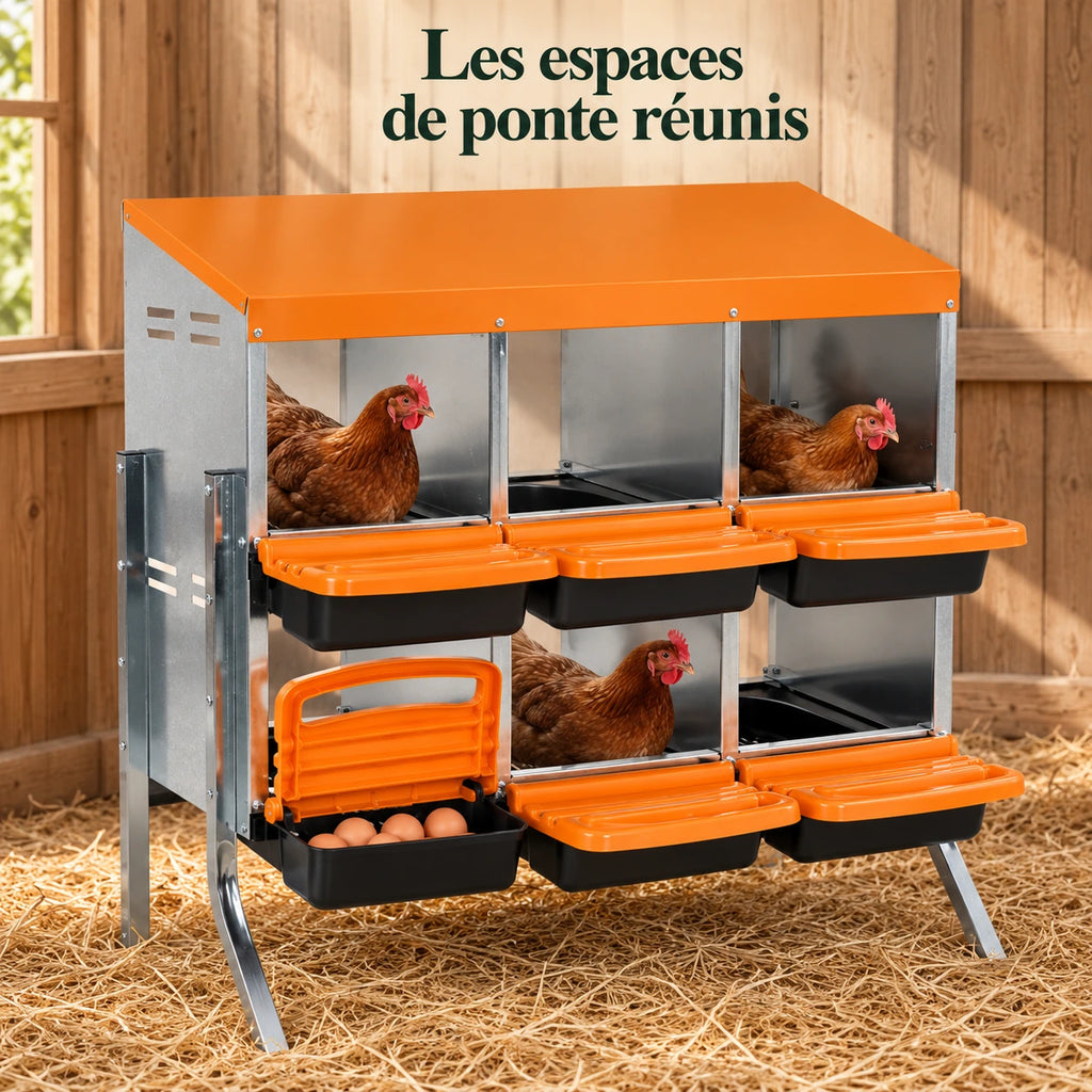 Pondoir pour Poules 6 Compartiments en Acier Galvanisé — détail du produit