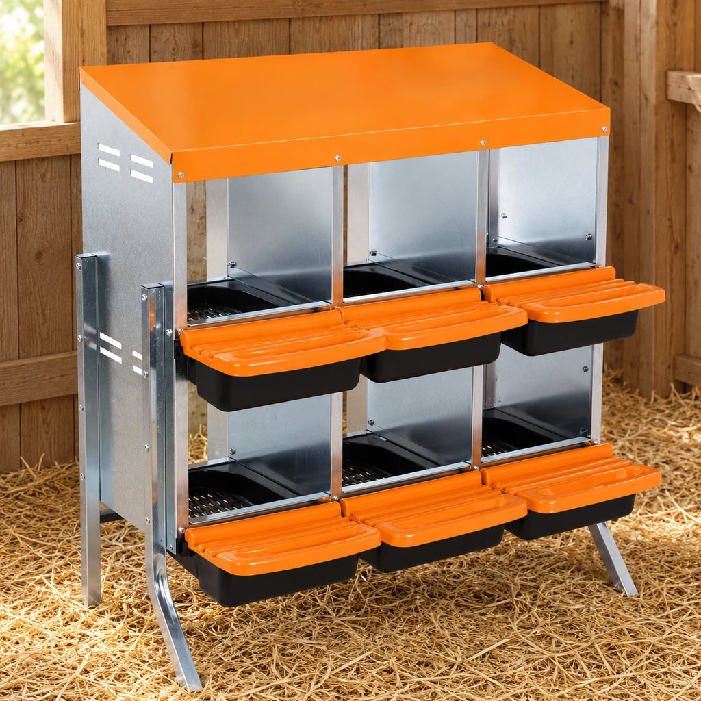 Pondoir pour Poules 6 Compartiments en Acier Galvanisé — mise en situation